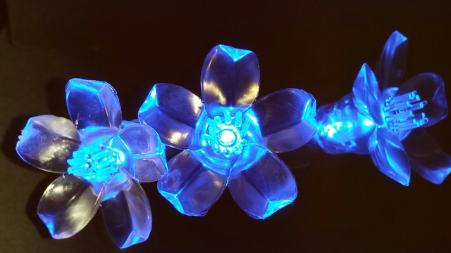 Kellogg Plastics 144311 0.75 In. Holiday & Christmas Led Lights With Petals For Indoor & Outdoor- Blue