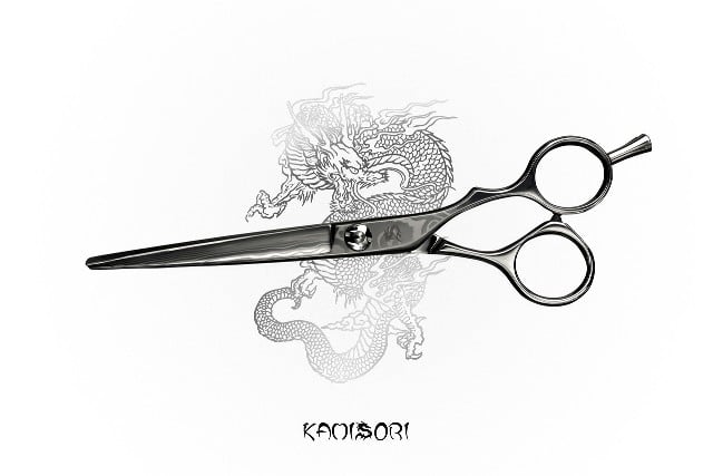 Dm-2 Frost Professional Haircutting Shears