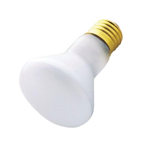 03654 R20 30 Watt Reflector Spotlight Bulb - Pack Of 6