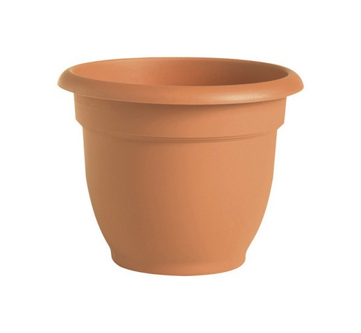 20-56108 8 In. Clay Ariana Planter