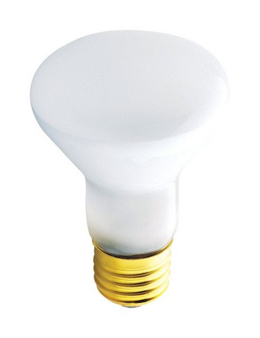 05100 45 Watt Indoor Reflector Floodlight Bulb