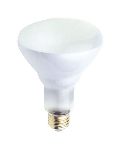 05101 65 Watt Indoor Frosted Reflector Floodlight Bulb