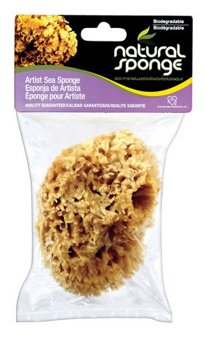 4045 Natural Seawool Sponge