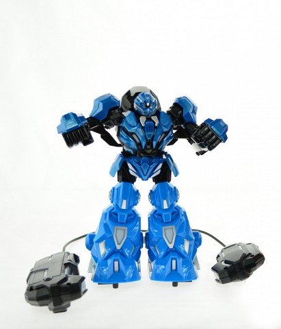 3888 9 In. Remote Control Fighting Robot