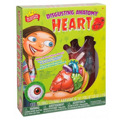 0sa233tl Scientific Explorer Disgusting Anatomy Heart