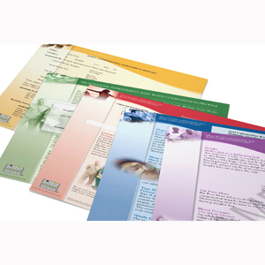 Llustrated Printout Stationary, Adult