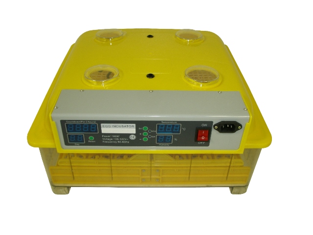 Ytf-48aicw Automatic Egg Incubator