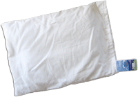 Carolina Morning Designs Cmd100rec 13 X 18 In. Organic Rectangular Buckwheat Pillow, Off White
