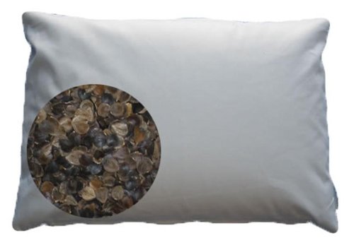 Carolina Morning Designs Cmd102std 20 X 26 In. Standard Buckwheat Pillow, Firm
