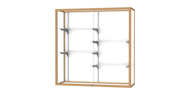 Waddell 2040-4-wb-gd Champion 48 X 48 X 16 In. Wall Case With Four 14 In. Half-length Shelves, White Back - Champagne Gold