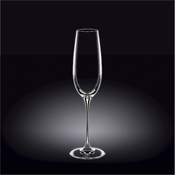 888048 260 Ml Champagne Flute Set Of 2, Pack Of 12