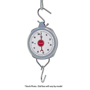 Hanging Scale - 110 Lbs