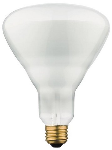 396100 65 Watt Br40 Incandescent Flood Light Bulb, Frost