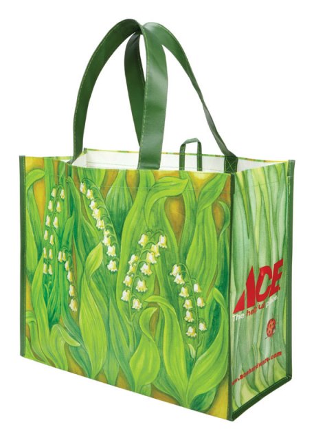 1101-40lv 30 Lbs Polypropylene Reusable Shopping Bag - Pack Of 50