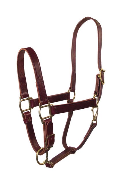 1lqasavbr Brown Leather Halter For Horse Average