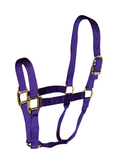 1qavpu Nylon Horse Halter Purple
