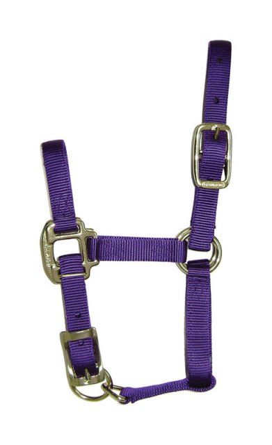 3qaflpu Purple Nylon Halter For Horse Foal