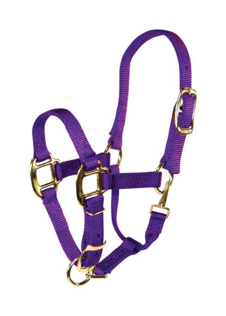 3qaswnpu Purple Nylon Halter For Horse Weanling