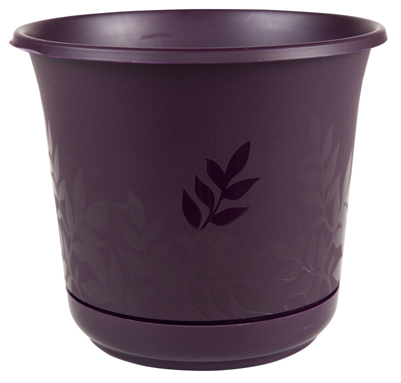 Fp0656 6 In. Freesia Planter With Saucer, Exotica