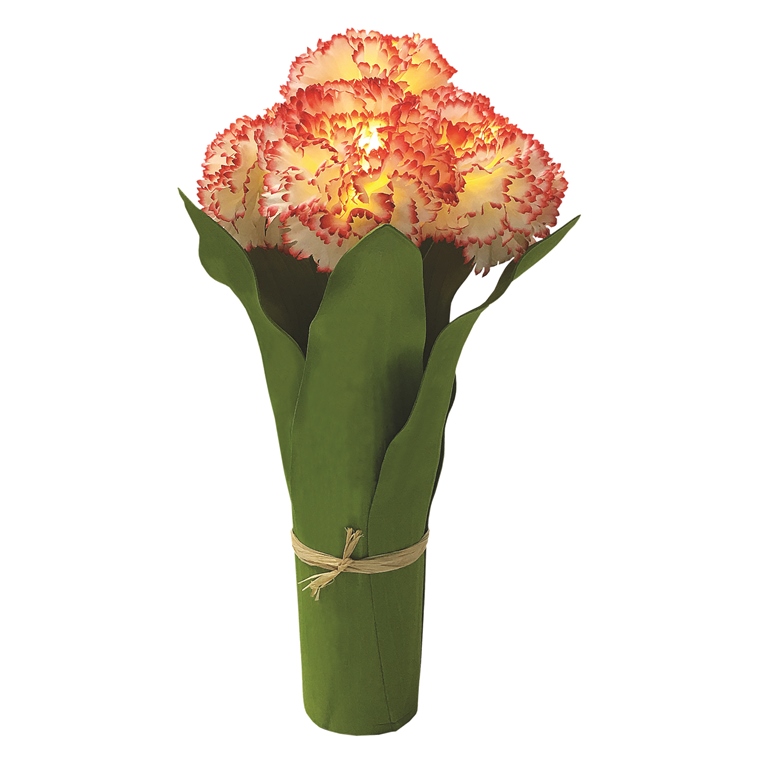Fl9072 Light Up 5 Led Carnation Bouquet - Green / White / Red - 12 Pack