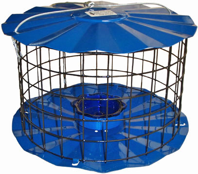 Bbf1 Meal Worm Feeder With Blue Glass