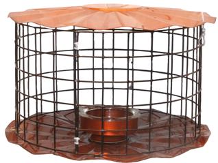 Bbf1c Meal Worm Feeder With Clear Glass