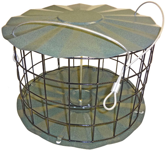 Cyfb2 Seed Cylinder Feeder Dove Proof