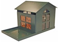 Sqf1g Bird Proof Squirrel Feeder