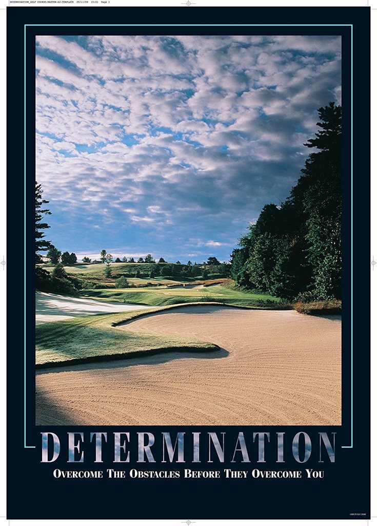 21.5 X 29 In. Stewart Superior- Determination Framed Motivational Poster Frame, Black