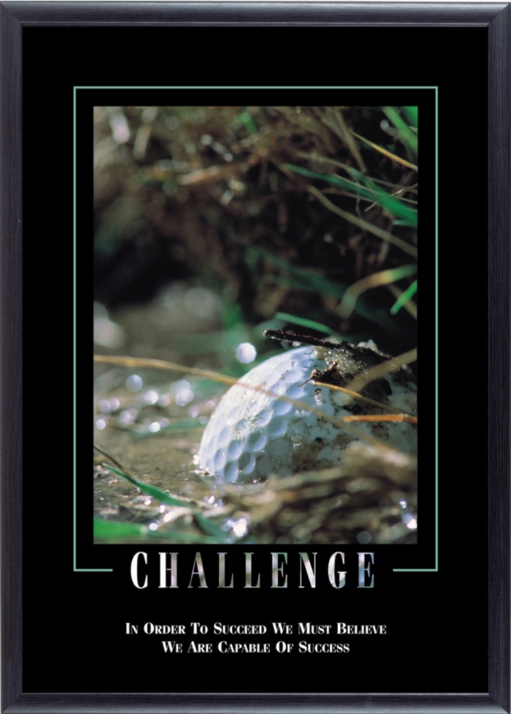 21.5 X 29 In. Stewart Superior- Challenge Framed Motivational Poster Frame, Black