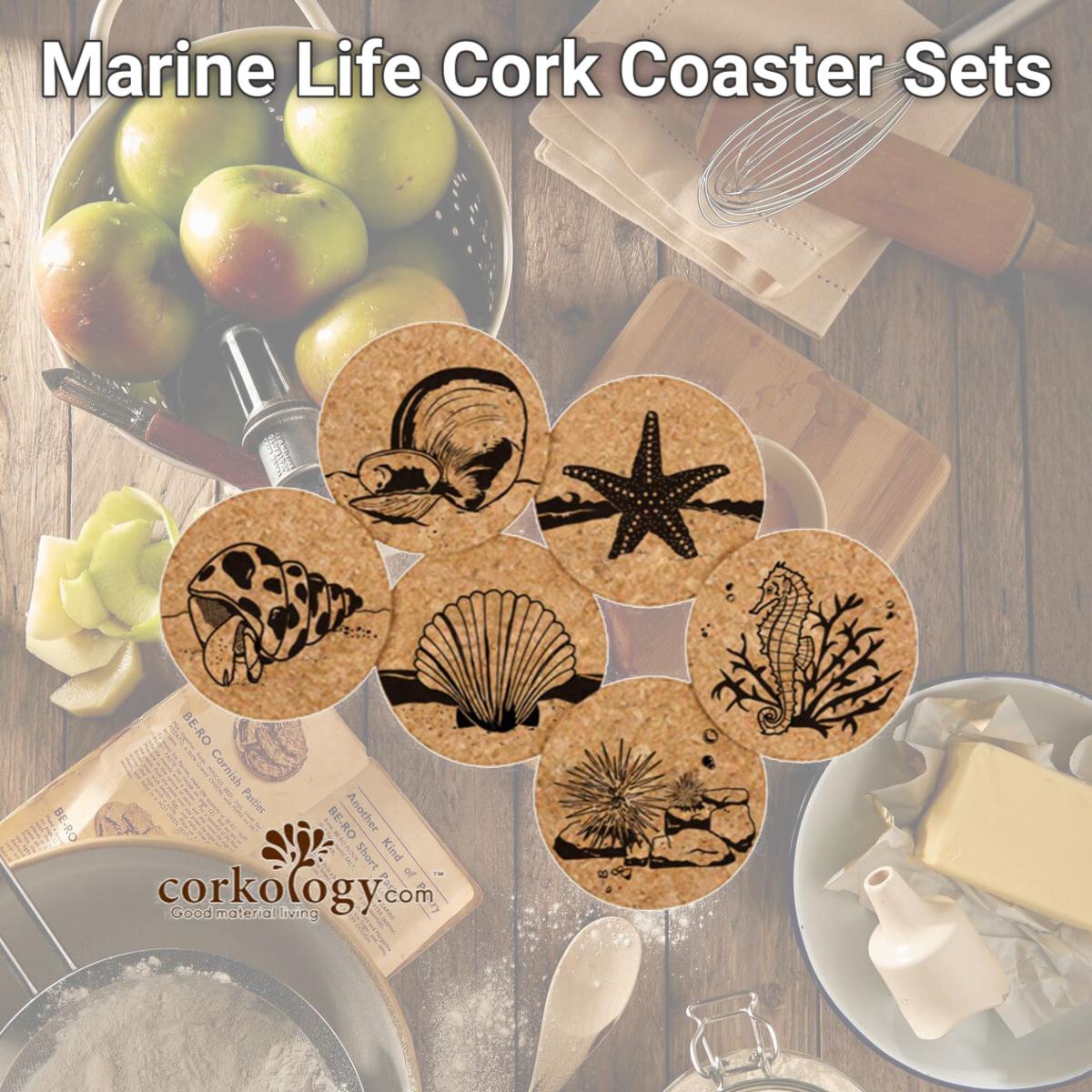 Picture of Corkology 381 Marine Life Cork Coaster Sets
