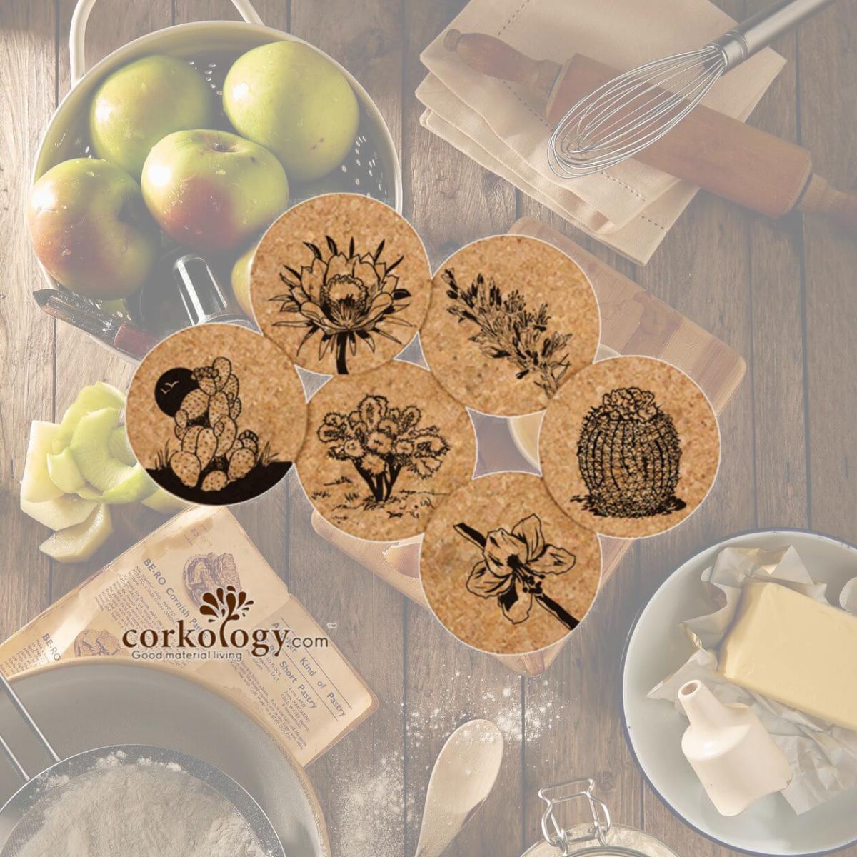Picture of Corkology 410 Southwest Plants Cork Coaster Sets