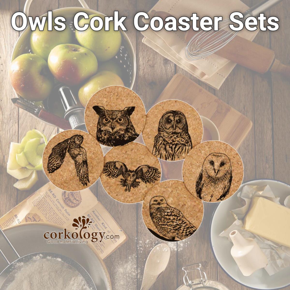 Picture of Corkology 411 Owls Cork Coaster Sets