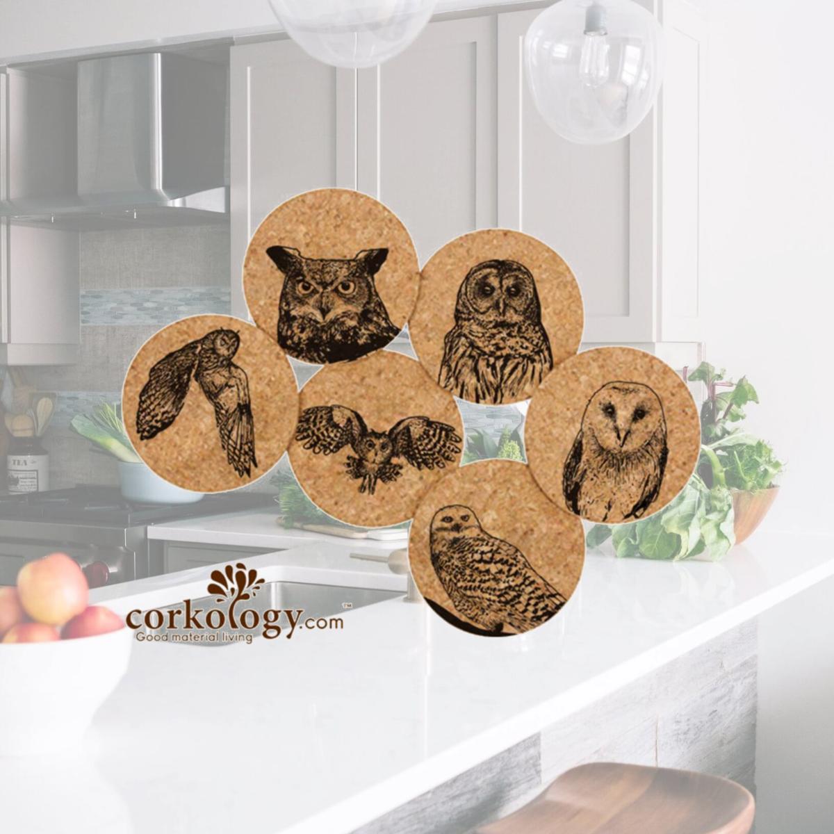Picture of Corkology 411 Owls Cork Coaster Sets