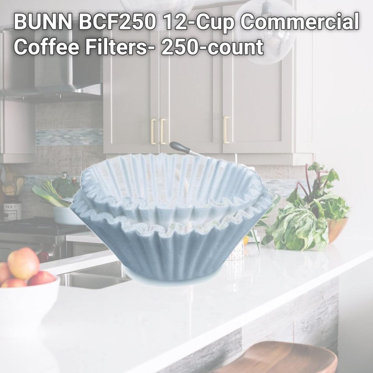 Picture of BUNN BCF250 12-Cup Commercial Coffee Filters- 250-count