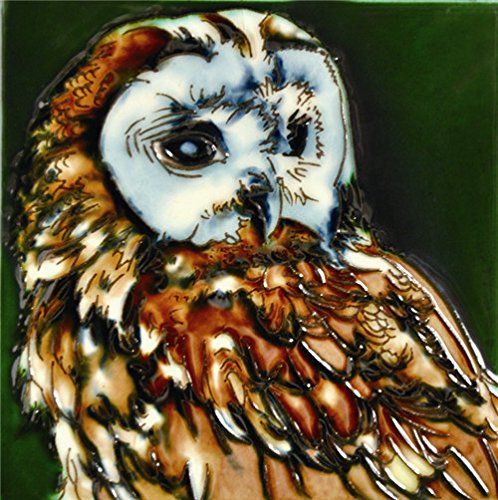 H-28 6 X 6 In. Owl, Decorative Ceramic Art Tile