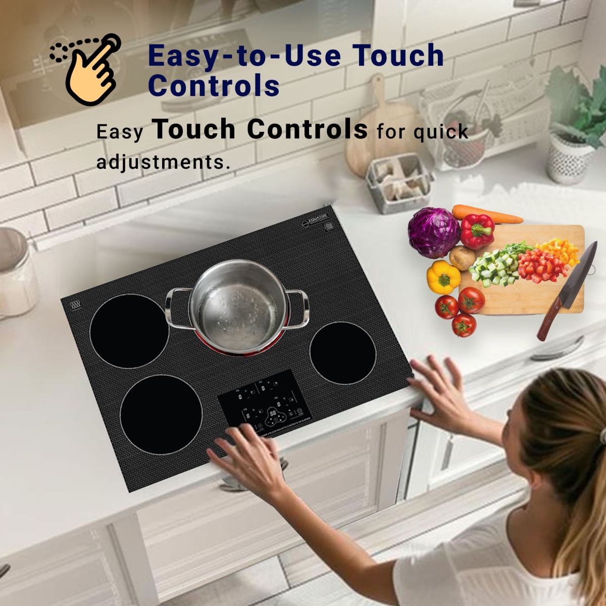 Picture of Equator Advanced Appliances BIC 304 CC ED Bic 304 Cc Ed