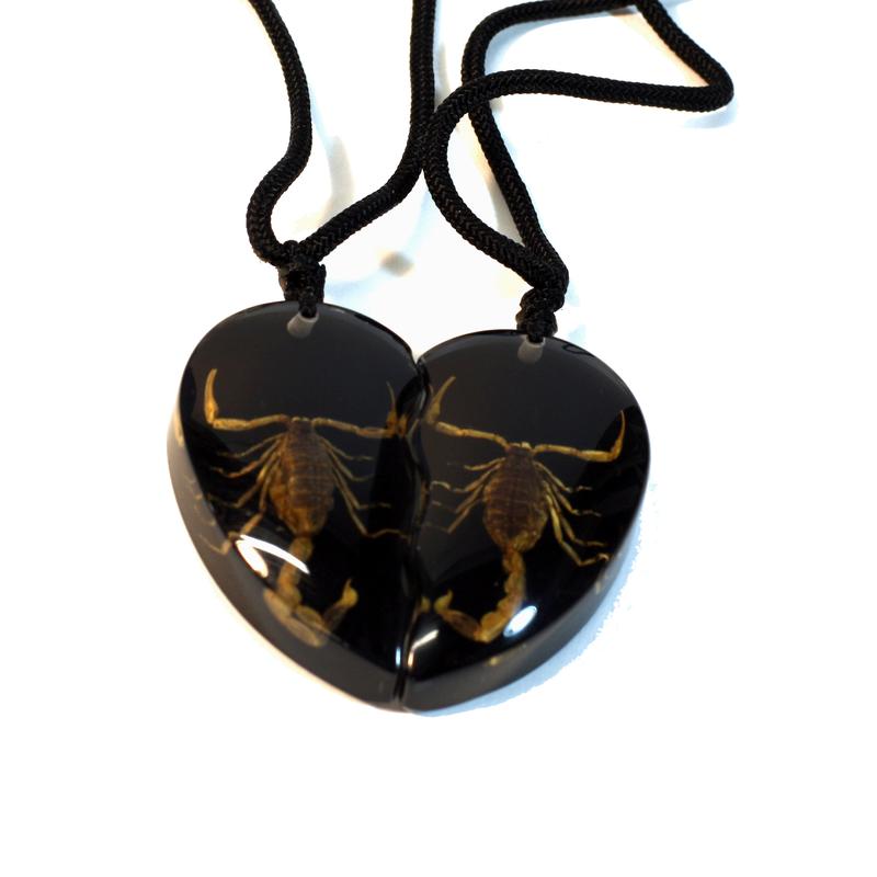 Sp2214 Gold Scorpion Double Heart Necklace, Black