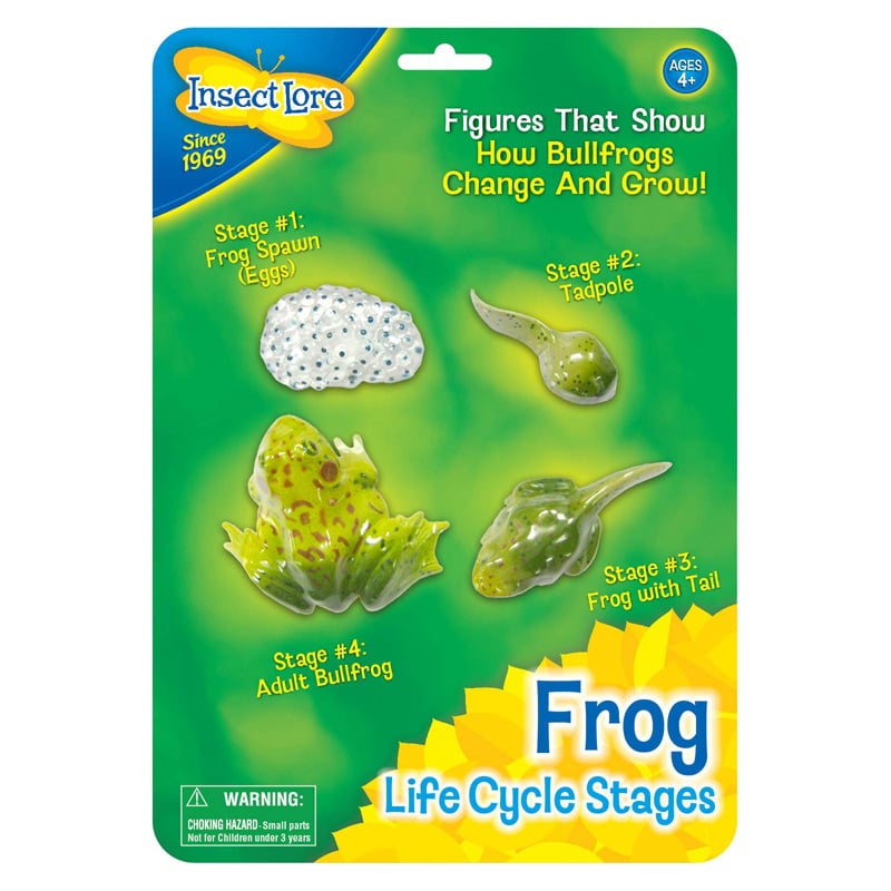Ilp2610bn Frog Life Cycle Stages - Pack Of 2