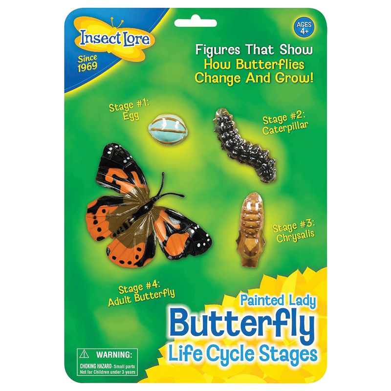 Ilp4760bn Butterfly Life Cycle Stages - Pack Of 2