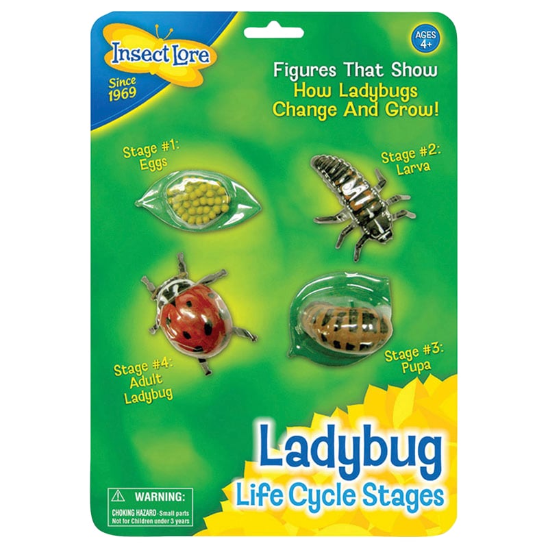 Ilp6090bn Ladybug Life Cycle Stages - Pack Of 2