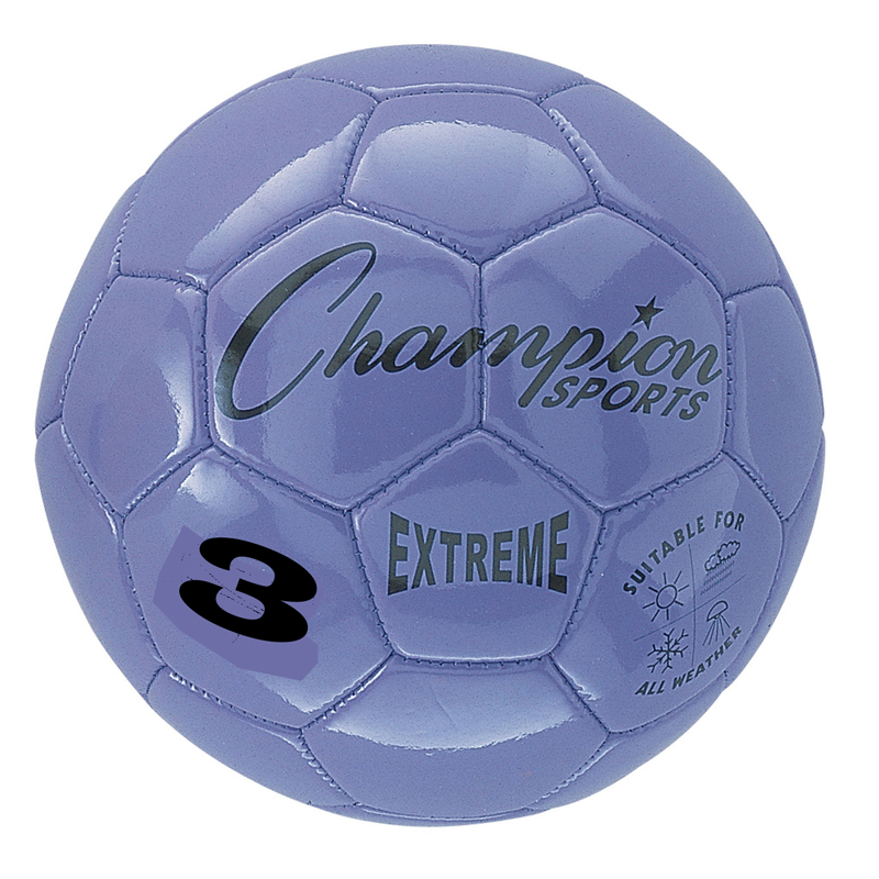 Chsex3prbn Composite Soccer Ball, Purple - Size 3, Pack Of 2
