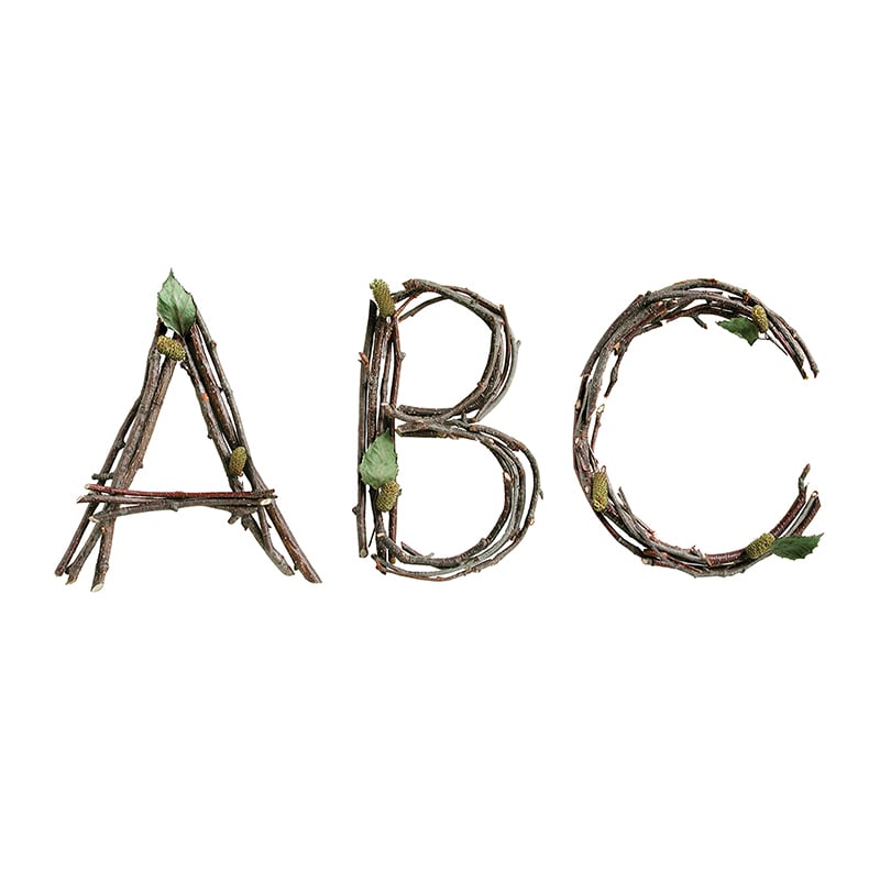 Ctp8163 6 In. Rustic Twigs Designer Letters