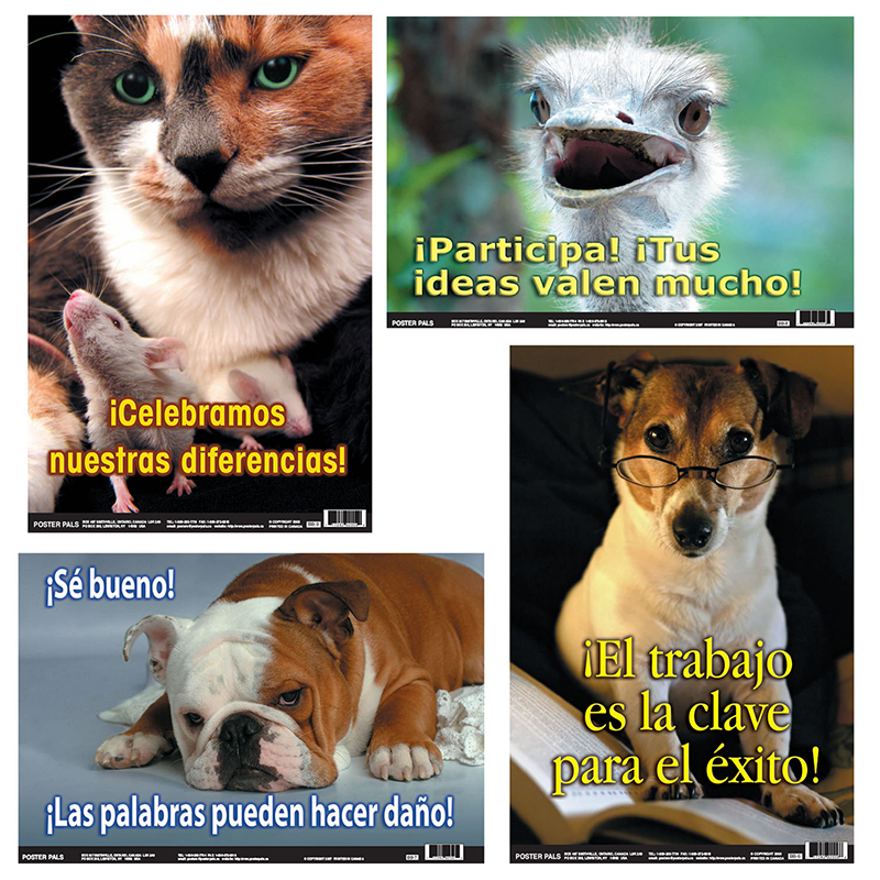 Pszbb10 Spanish Fun Photo Posters - Set Of 10