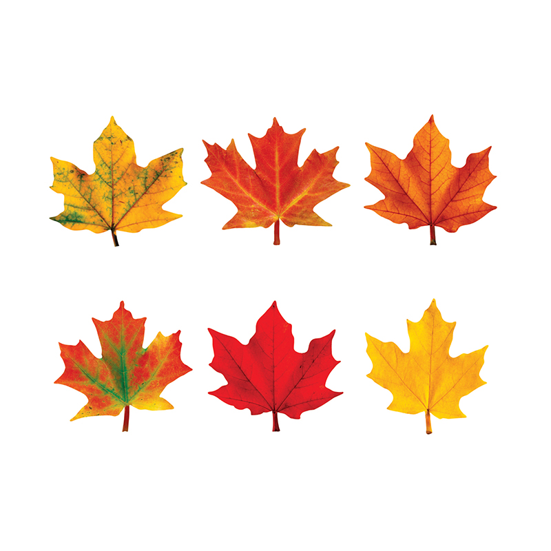 T-10836-6 Classic Accents Maple Leaves Mini Variety Pack-discovery - Pack Of 6
