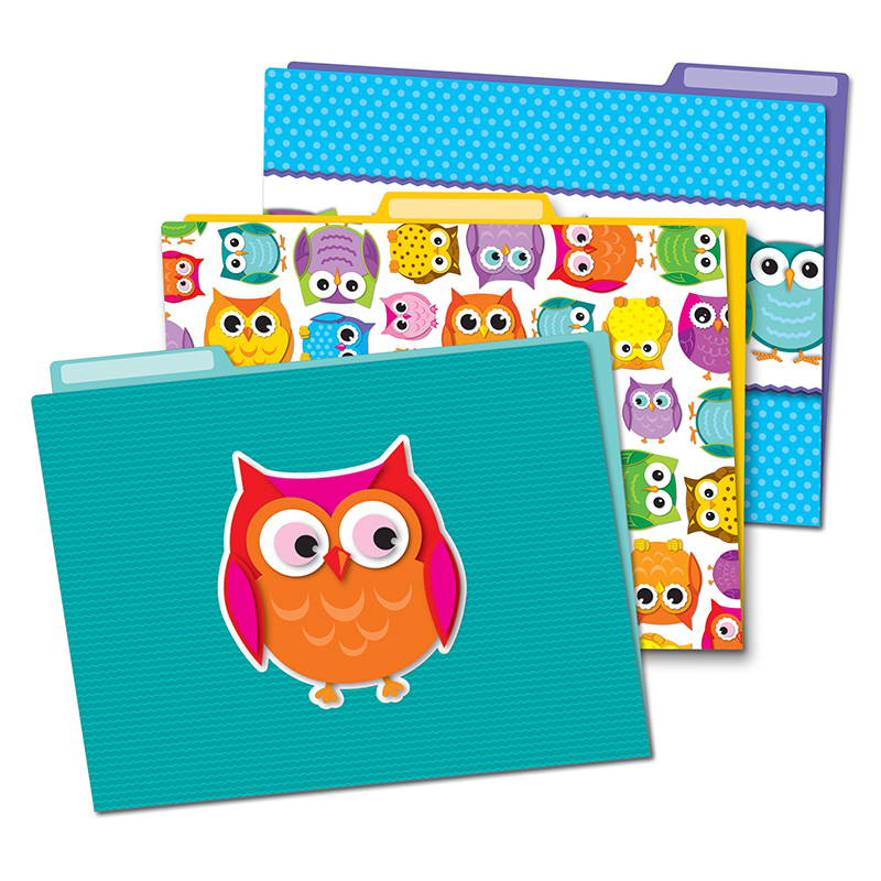 Carson Dellosa Cd-136009-3 Colorful Owls Folders - Pack Of 3