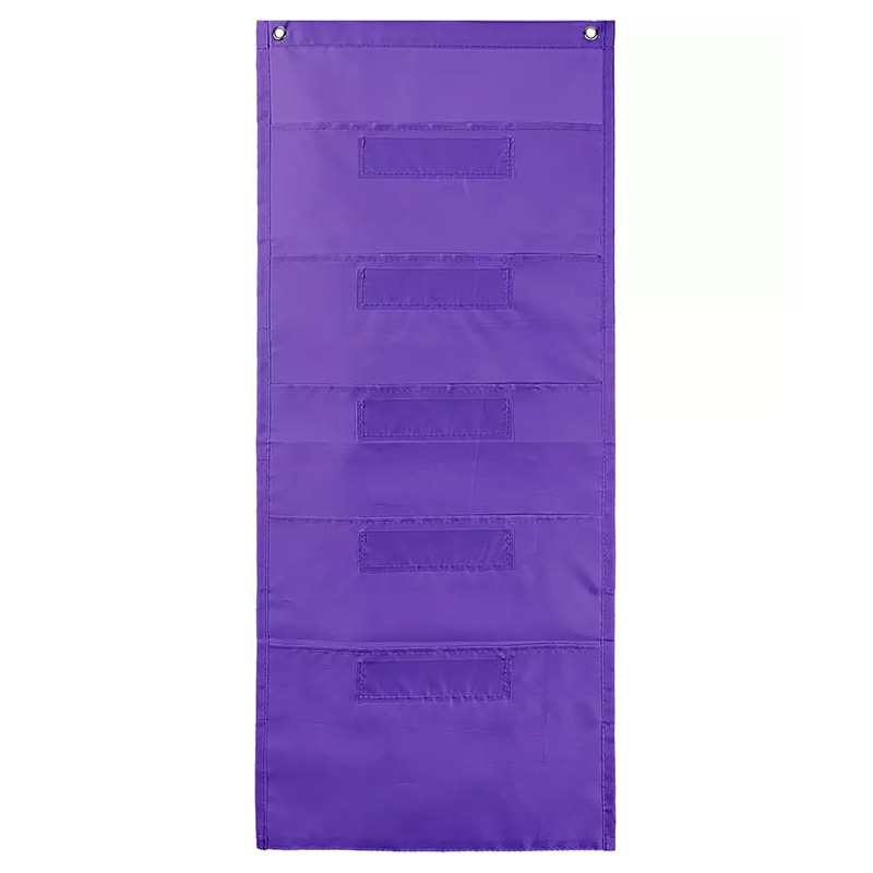 Carson Dellosa Cd-158563-2 File Folder Storage Purple Pocket Chart - 2 Each