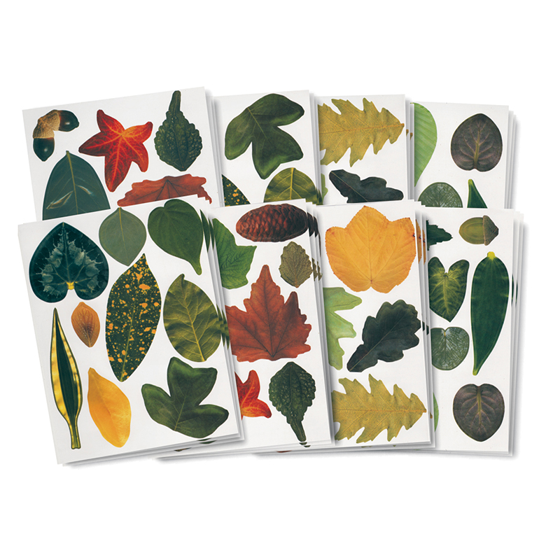 R-15334-2 Paper Leaves - Pack Of 2