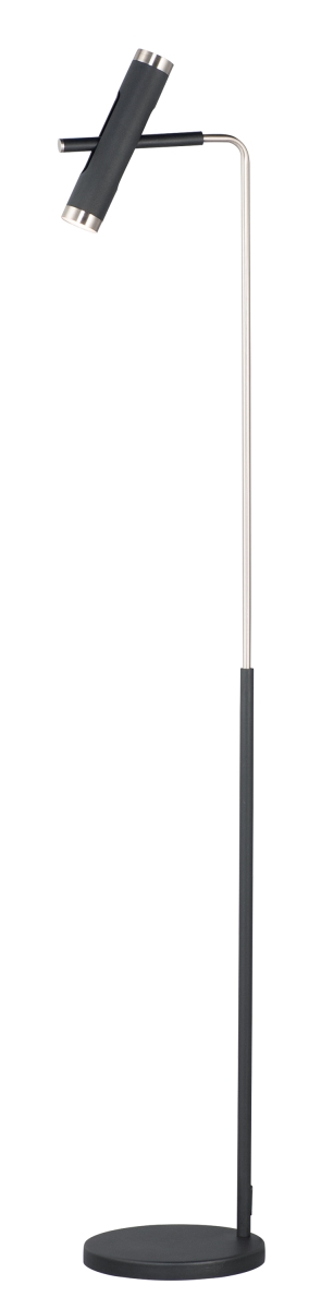 E25049-bksn Ambit Led 2-light Floor Lamp - Black & Satin Nickel