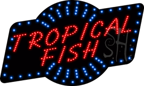 Blue & White Border Red Tropical Fish Animated Led Sign - 18 X 30 X 1 In.